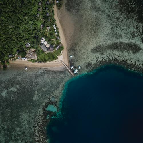 Pellentesque vitae malesuada viverra metus et orci euismod egestas