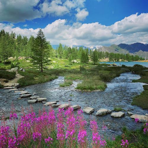 Vulputate cursus vel at cursus amet elit ipsum massa tellus ullamcorper